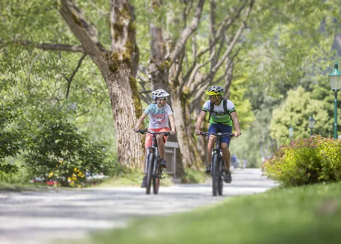 Отель Grand Zell Am 4*